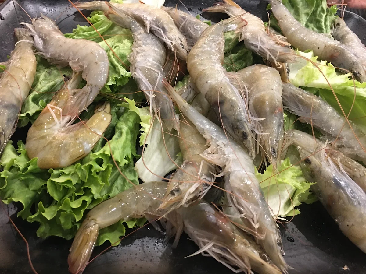 white prawn 白虾 12只, Happy Lamb Hot Pot, Vancouver